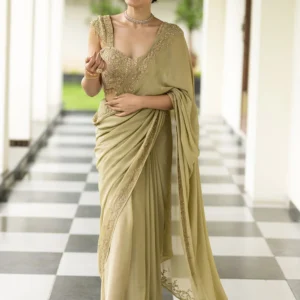 the dabka beige saree