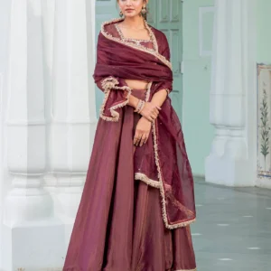 wine kalidaar tissue lehenga set