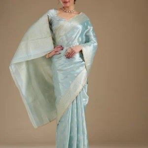 sea green zariwork tissue saree